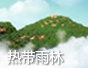 熱帶雨林