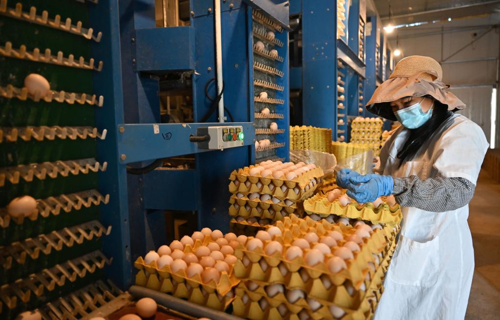 海南三亚：农业生产不停工